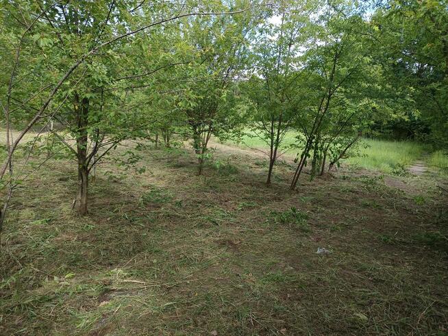 Sprzedam działkę Mielec Cyranka