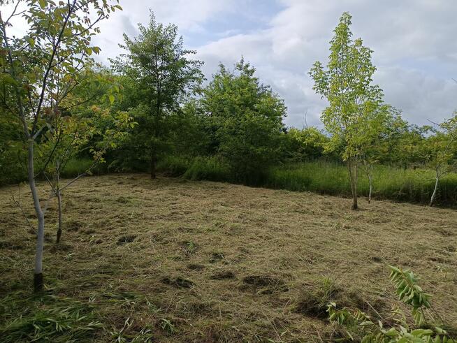 Sprzedam działkę Mielec Cyranka