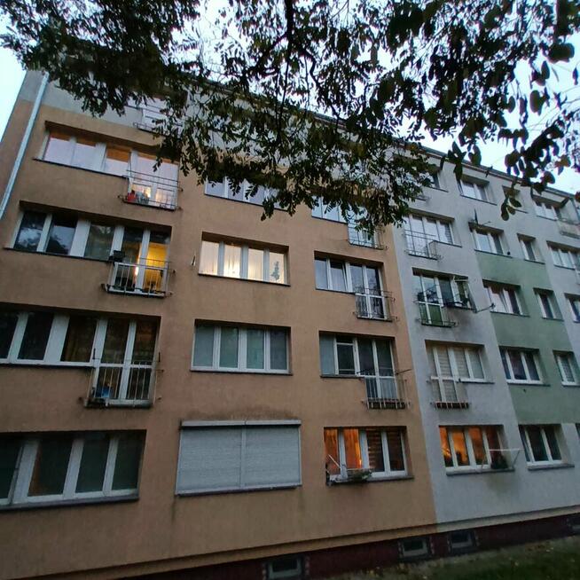 Mieszkanie bez pośredników
