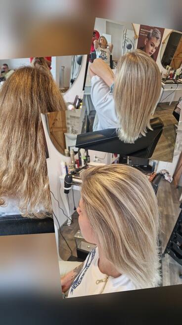 Zapraszam Golden Studio Agness