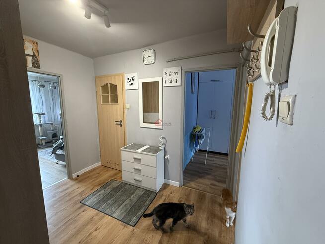 Mieszkanie Starachowice, Na Szlakowisku