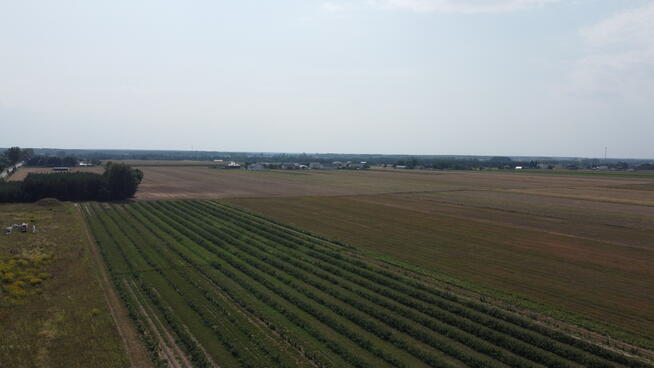 Działka 2940 m2 z WZ w Przyłęku pow. Zwoleń.