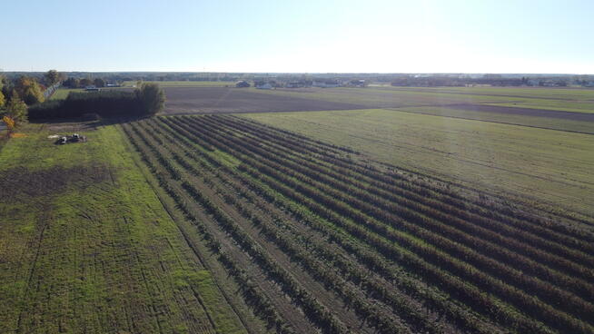 Działka 2940 m2 z WZ w Przyłęku pow. Zwoleń.