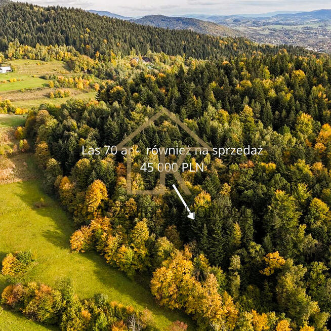 Zaciszna działka rolna w sercu zielonej przyrody