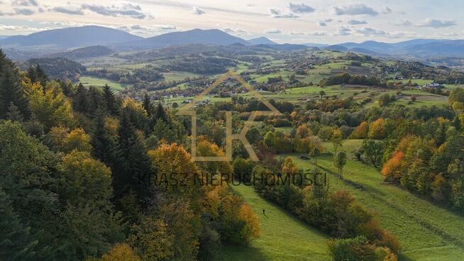 Zaciszna działka rolna w sercu zielonej przyrody