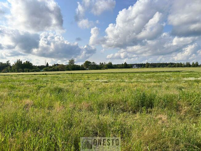 Działka budowlana Nowy Staw gm. Niemce