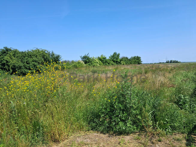 Działka budowlana Kościan,