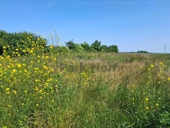Działka budowlana Kościan,