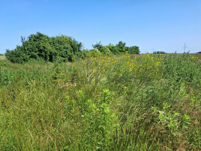 Działka budowlana Kościan,