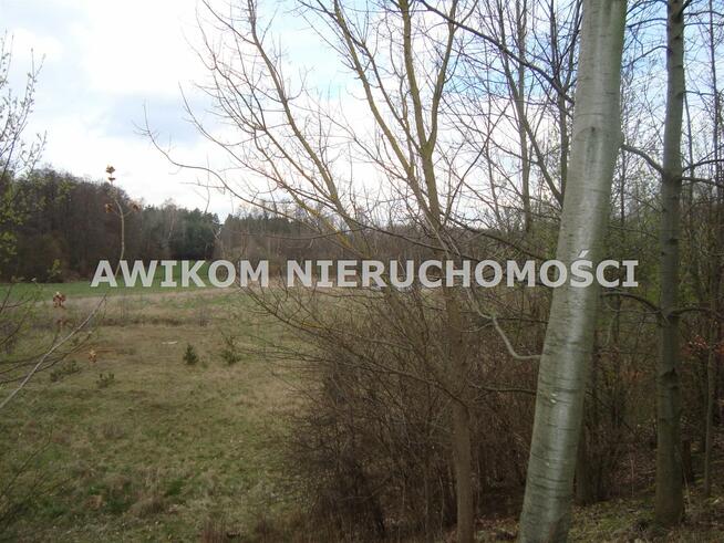 Działka Pieńki Zarębskie gm. Żabia Wola