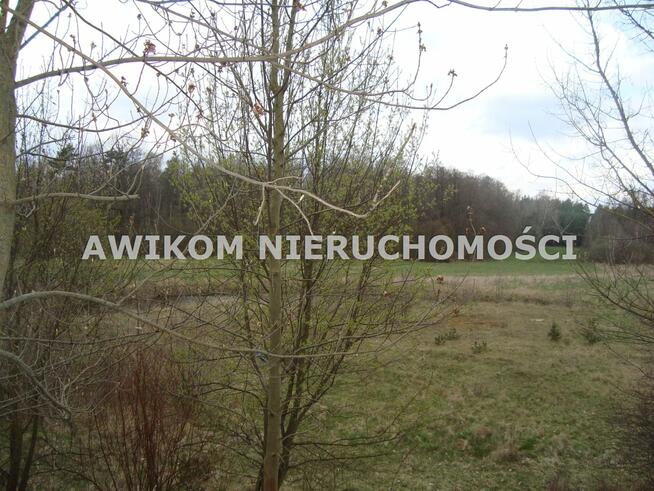 Działka Pieńki Zarębskie gm. Żabia Wola