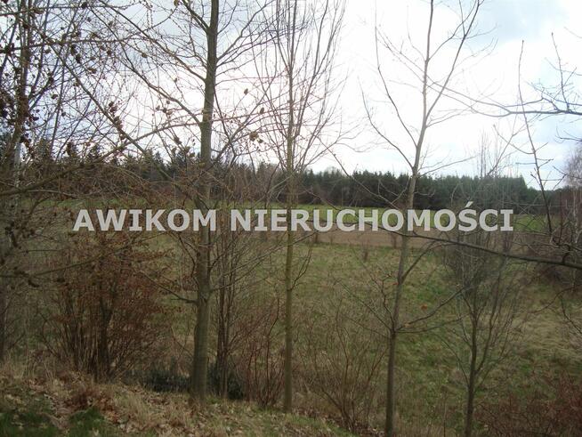 Działka Pieńki Zarębskie gm. Żabia Wola