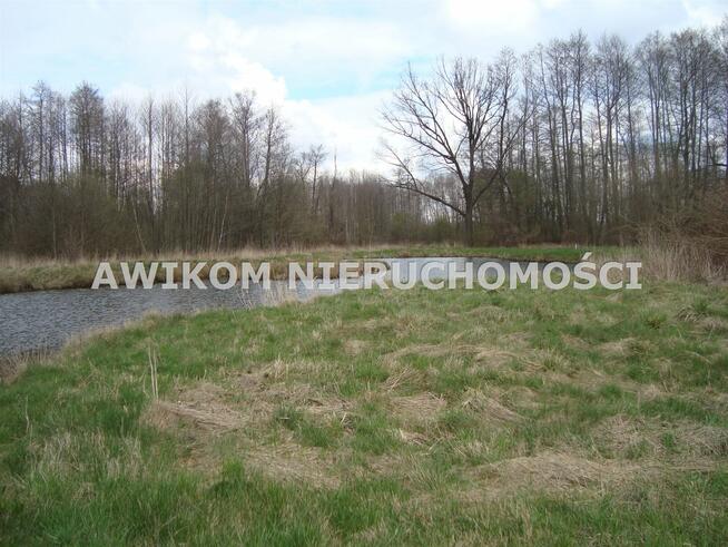 Działka siedliskowa Pieńki Zarębskie gm. Żabia Wola