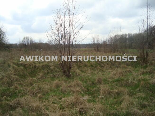 Działka siedliskowa Pieńki Zarębskie gm. Żabia Wola