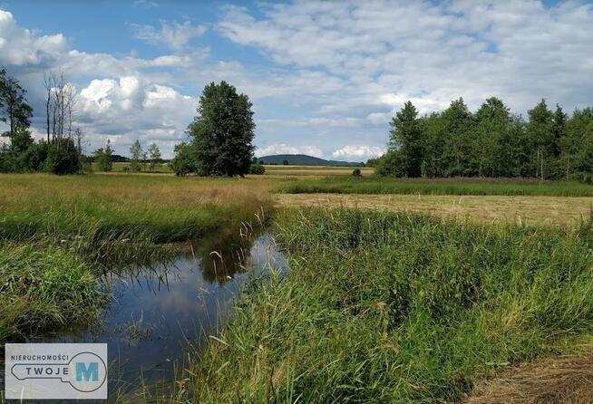Działka leśna Strawczyn Korczyn