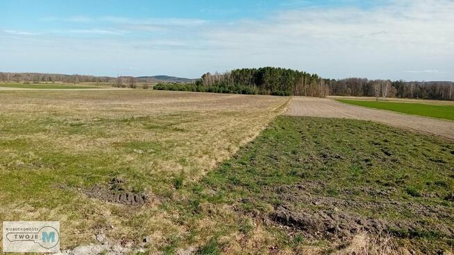 Działka leśna Strawczyn Korczyn