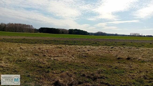 Działka leśna Strawczyn Korczyn