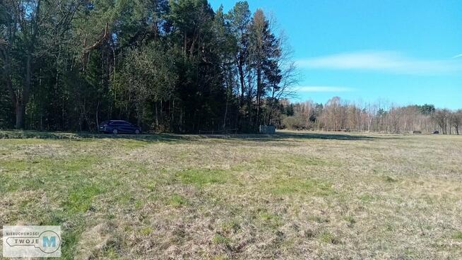 Działka leśna Strawczyn Korczyn