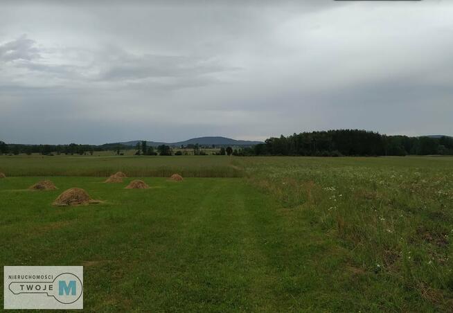 Działka leśna Strawczyn Korczyn