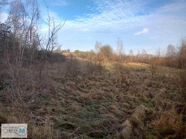 Działka usługowa Daleszyce Mójcza