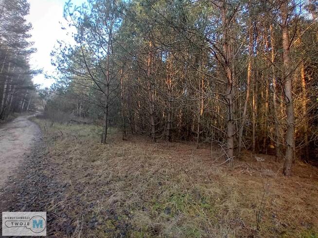 Działka usługowa Daleszyce Mójcza