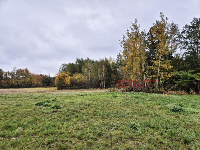 Działka budowlana Stare Budy gm. Jaktorów,