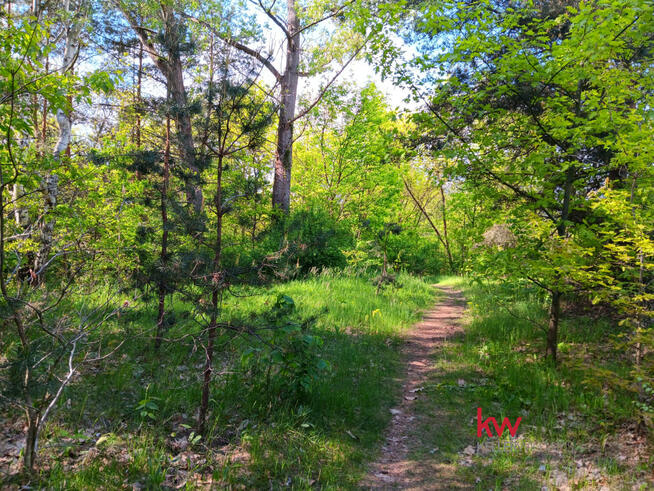 Działka inwestycyjna Przeczyce gm. Mierzęcice, 21 Stycznia