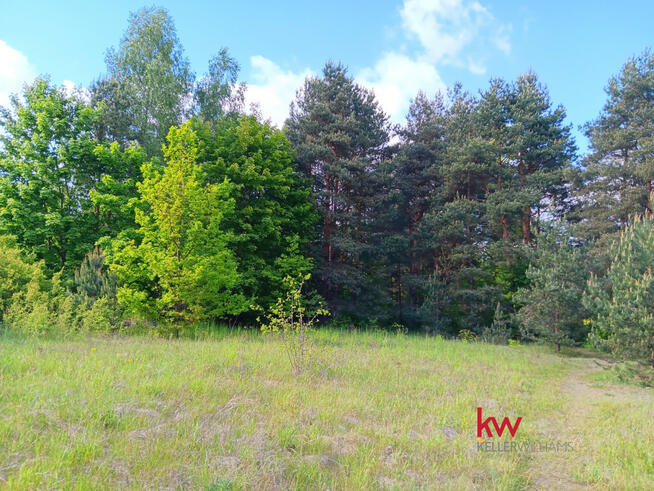 Działka inwestycyjna Przeczyce gm. Mierzęcice, 21 Stycznia