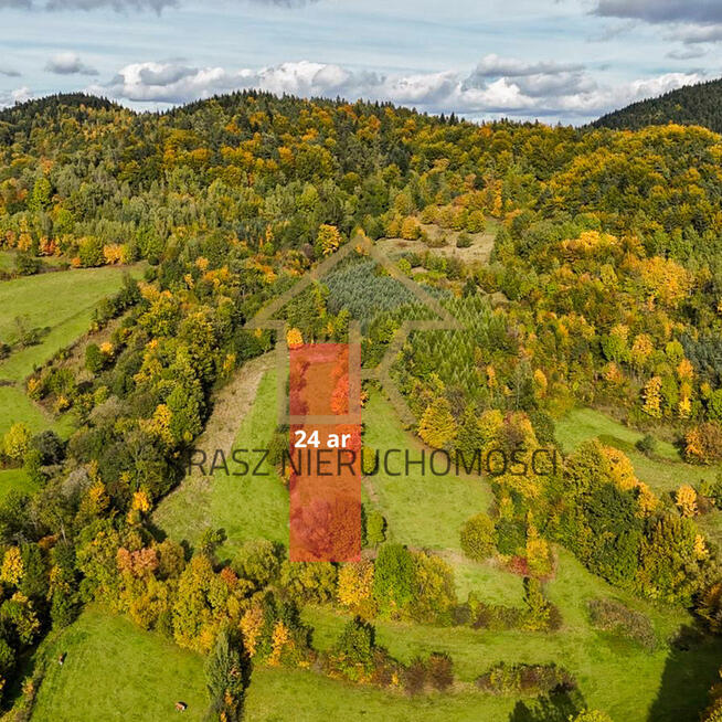 Działka z potencjałem i widokiem, który zachwyca!