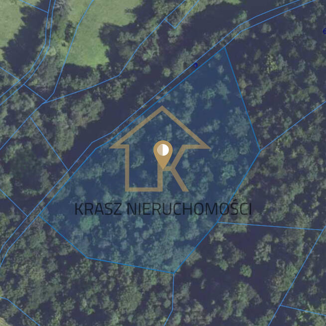 Inwestuj w las: spokój i zysk wartość w jednym