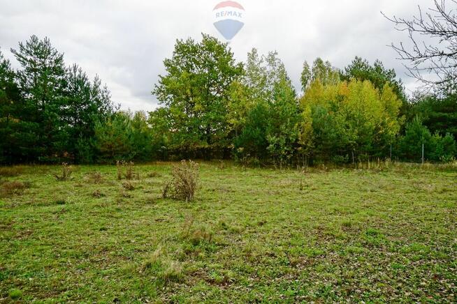 Działka 2500m2 pod usługi, Radziejowice Parcel