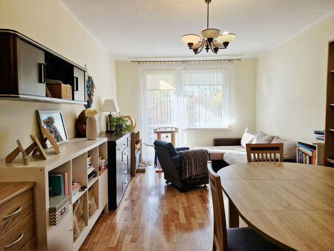 Mieszkanie Opole Zaodrze, Dambonia