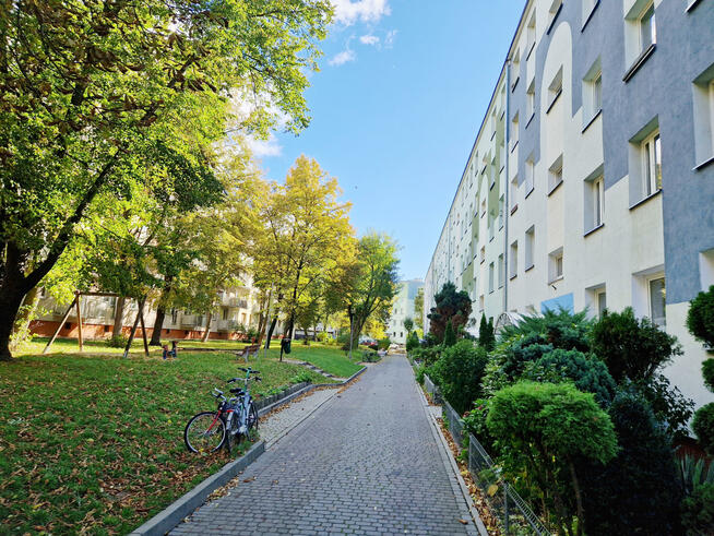 Mieszkanie Opole Zaodrze, Dambonia