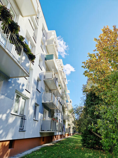 Mieszkanie Opole Zaodrze, Dambonia