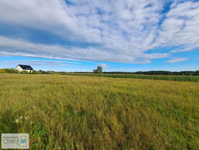 Działka Pierzchnica Drugnia