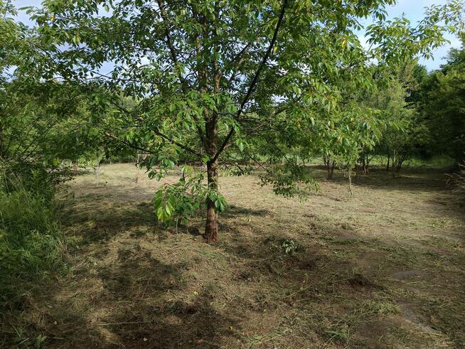 Sprzedam działkę Mielec Cyranka