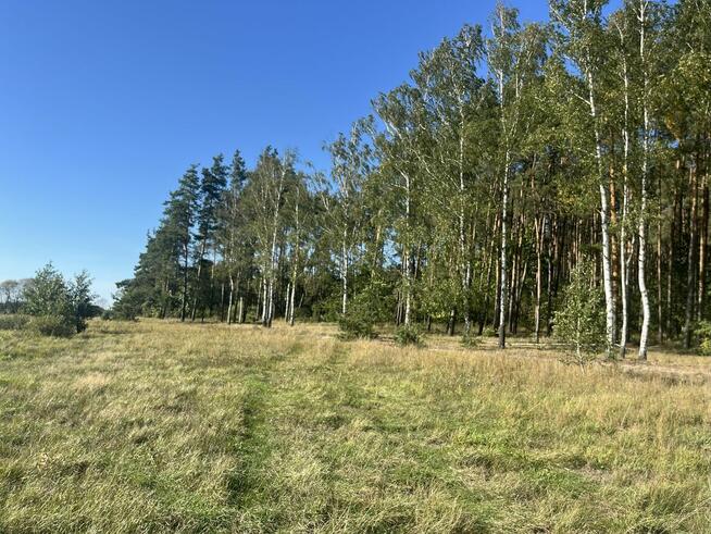 Działka leśna, Uhowo k. Łap, podlaskie