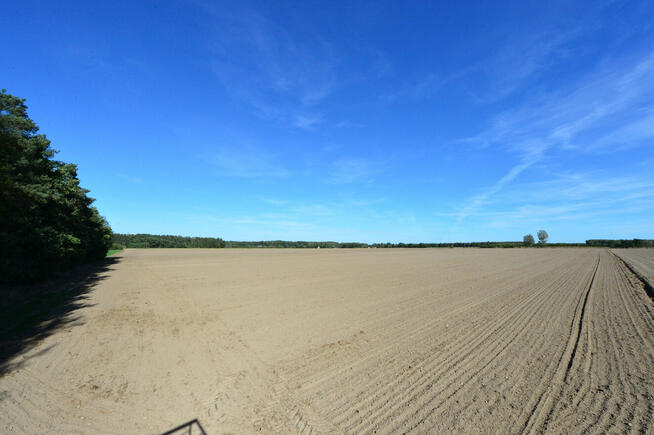 Sprzedam grunt pod farmę fotowoltaiczną. Powiat Żyrardowski