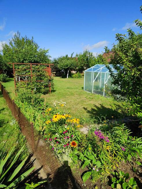 SPRZEDAM DZIAŁKĘ REKREACYJNĄ – ROD „SZAROTKA”