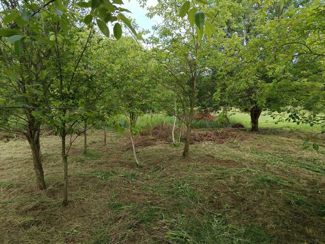 Sprzedam działkę Mielec Cyranka