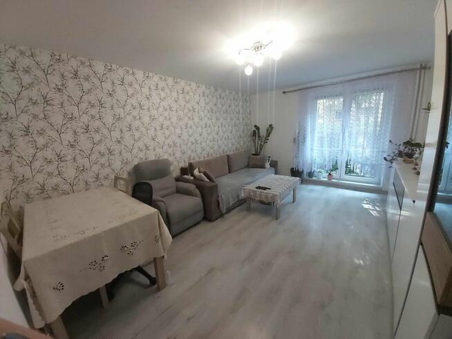 2-pokojowe mieszkanie z balkonem w centrum Sosnowca