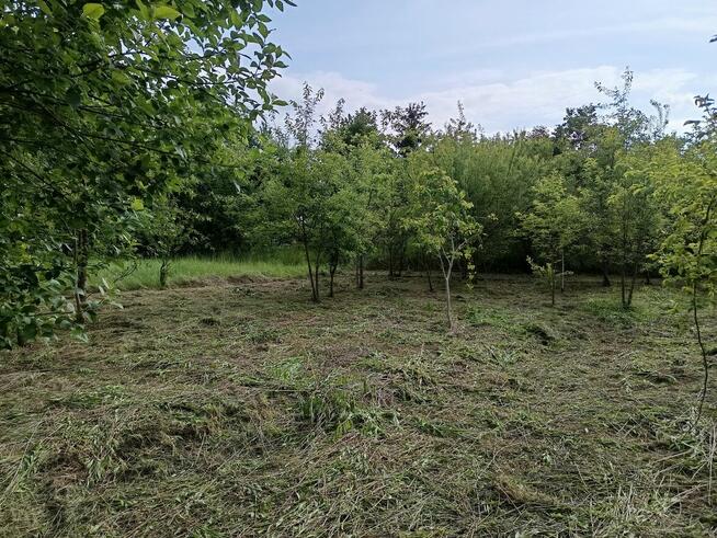 Sprzedam działkę Mielec Cyranka