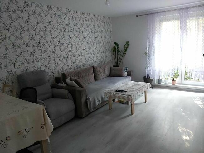 2-pokojowe mieszkanie z balkonem w centrum Sosnowca