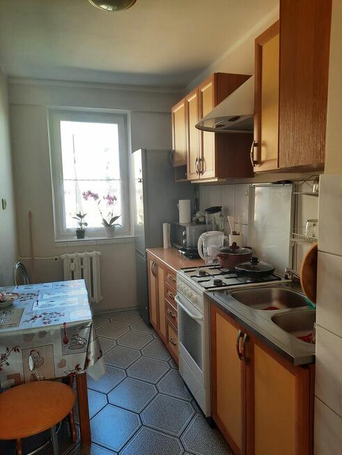 Sprzedam 3-pokojowe / Osiedle Niepodległości