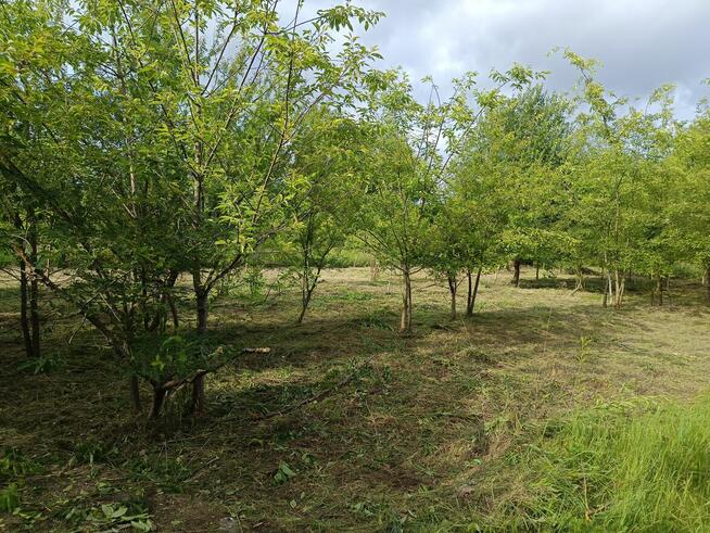 Sprzedam działkę Mielec Cyranka