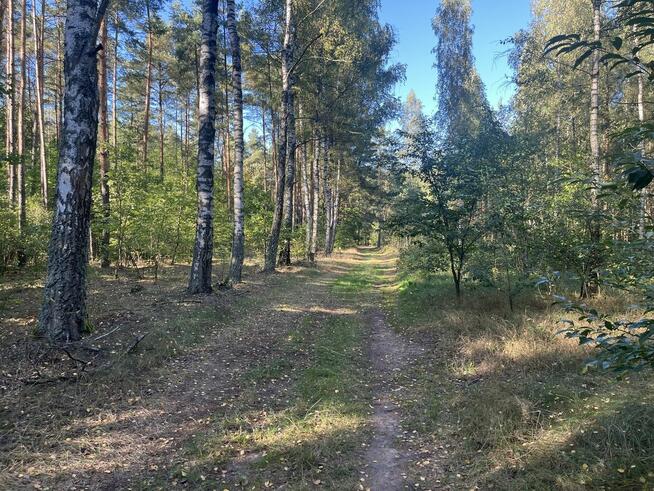 Działka leśna, Uhowo k. Łap, podlaskie
