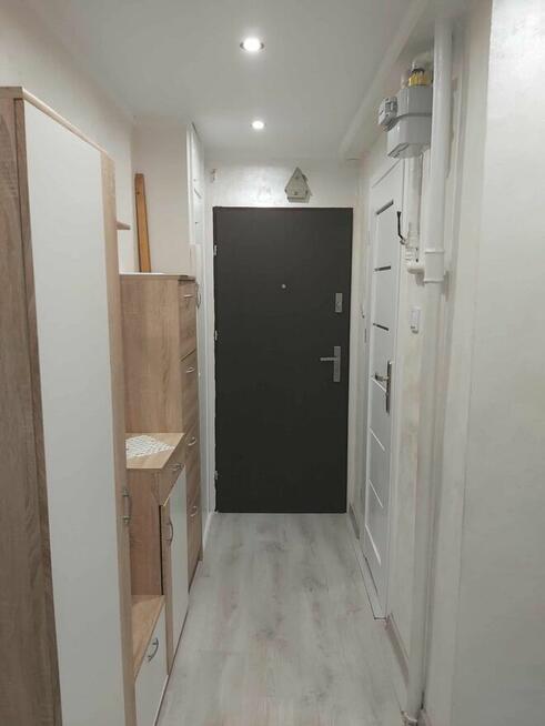 2-pokojowe mieszkanie z balkonem w centrum Sosnowca