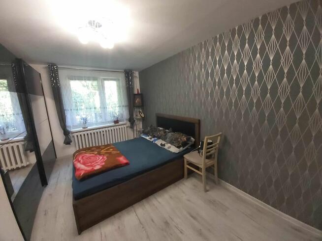 2-pokojowe mieszkanie z balkonem w centrum Sosnowca