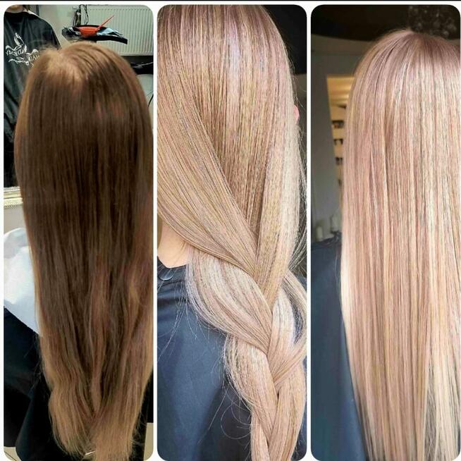 Zapraszam Golden Studio Agness