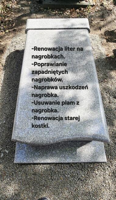 Pomniki+ Renowacja +Przygotowania